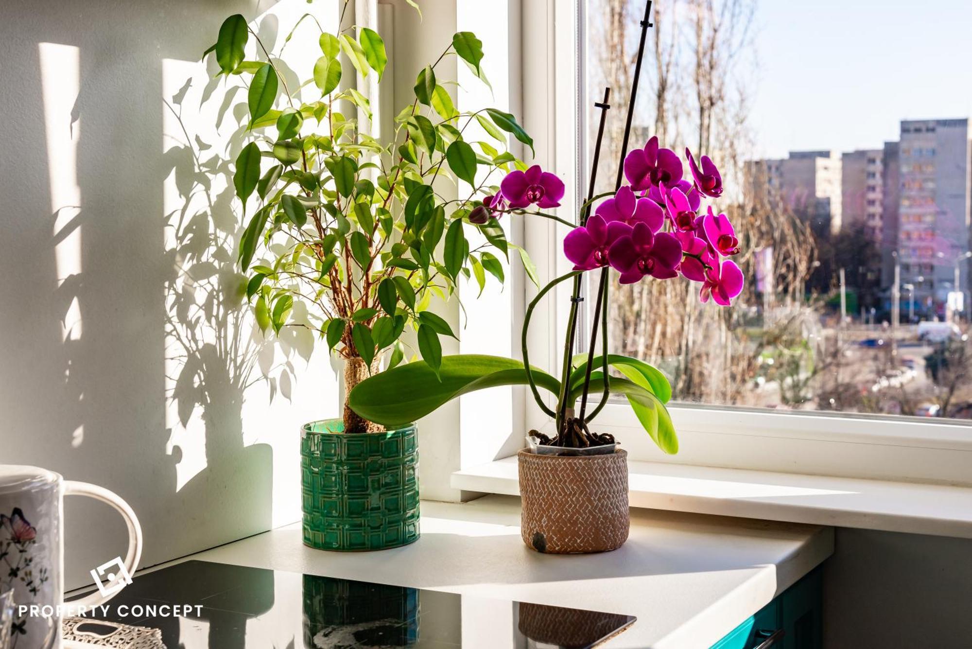 Blissful Retreat Apartment Bukurešť Exteriér fotografie